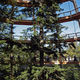 Illustration for article titled Germanys new 18-story Tree Top Walk is shaped like a giant egg